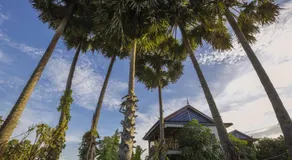 Champa Lodge - Image 4