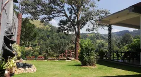 Lavendra Paradise - Image 4