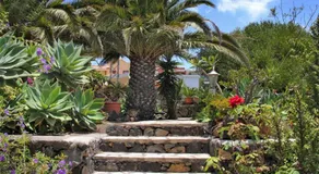 Jardin de Aridane - Image 4