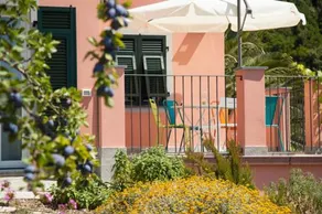 Il Nettare - Image 4
