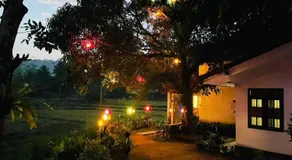 Rain Forest Star - Image 5