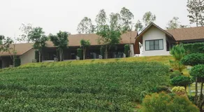 PASSA ผัสสะ Tea Plantation @Mae On - Image 4