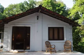 Jungle Hostel by Mango Tree - Image 5