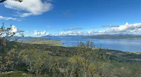 Sea View Cabin near Senja The Yellow House - Image 4