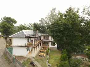 Little Bir - Image 4
