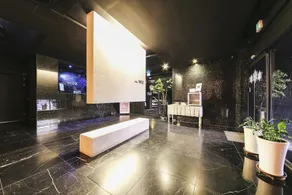 Paju Miiz - Image 4