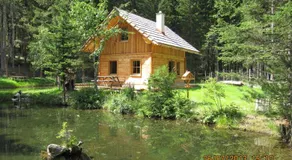 Pension Waldhauser - Image 4