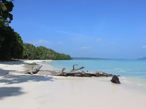 DOLPHIN BEACH RESORT - Image 2