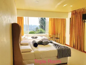 Single Tree Hotel - Image 3