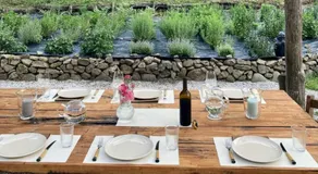 OASI LIGNANA Country Chic Apartments, nestled in a 40-hectare estate - Image 4