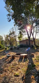 The Birdhouse Villa - Image 3