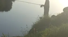 Fishing - Image 4