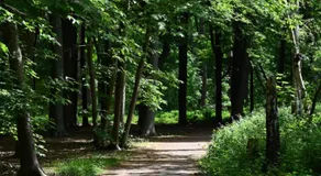Ryckevelde - Image 4