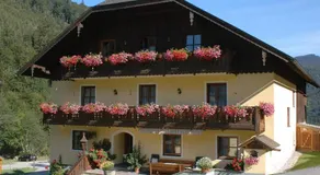 Bio-Bauernhof Vordergrubenbach - Familie Oberascher - Image 4