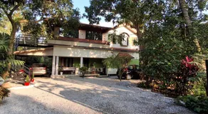 The Pearl Munro - Image 3