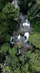 Hill Rows Plantation and Forest Experience By GreenEscapes - Image 5