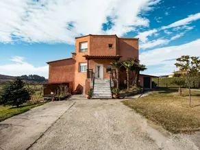 Quaint Farmhouse in Plagiari surrounded with Olive Trees - Image 5