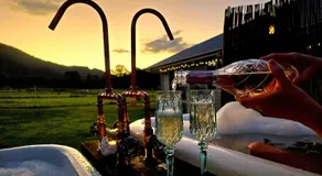 Fig Tree Farm B&B Highvale-Farmstay near Brisbane! - Image 4
