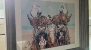The Heilan' Coo Apartment - Image 4