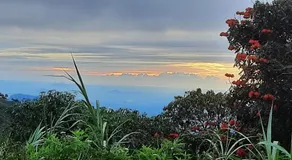 AMARASINGHE GUEST HOUSE - Image 4