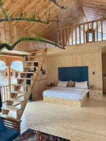 Sattva Pine Resort - Image 4