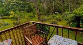 Blue Mountains Ferncreek Studio Retreat, pet friendly, birds and bush - Image 4