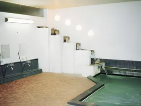 Sugadaira Kogen Hotel Karasawa - Image 2
