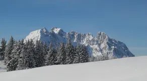 pure mountain BASE - Image 5