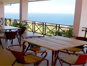 AL Moniz - Image 3