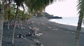 Daniela - Image 5