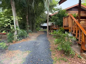 COCOA HOME - Image 5
