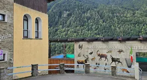 Casa Priula - Image 3