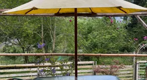 Forest whisper Retreat - Image 5