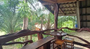 Activities Resort - Image 2