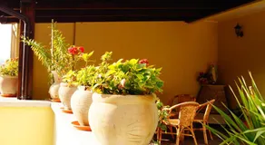 B&B Il Fruscio - Image 5