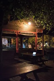 Olympos Orange - Image 2