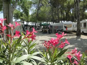 Camping Cammello Grigio - Image 1