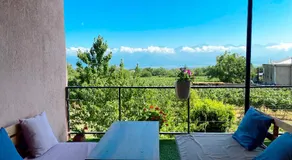 Villa Tsinandali - Image 3