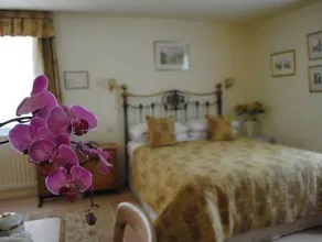 Park Cottage - Image 3