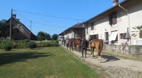 Chambre d'Hôtes Familiale la Jument Grise - Image 5