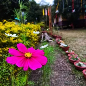 Arya Eco Resort - Image 3
