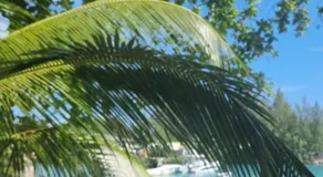 Le Port Guest House - Image 5