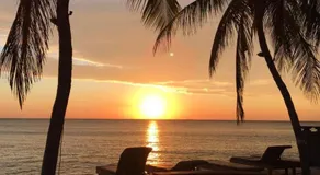 Paradise Palm Beach Bungalows and Dive Center - Image 3