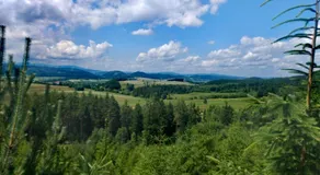 APARTAMENTY & DOMKI Chełmsko Śląskie - Image 5