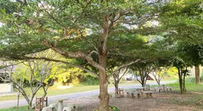 บ้านสวนวงศ์จินดารักษ์ - Image 5