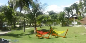 Divers Lodge Moalboal - Image 3