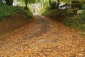 Bradleigh Down Holidays - Image 5