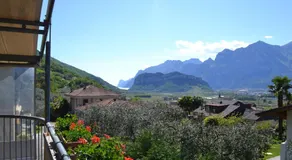 B&B agli Ulivi - Image 3