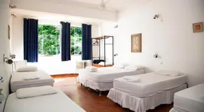 Farfalla São Manuel - Image 2