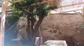 Fontantica di Vernazza - Image 5
